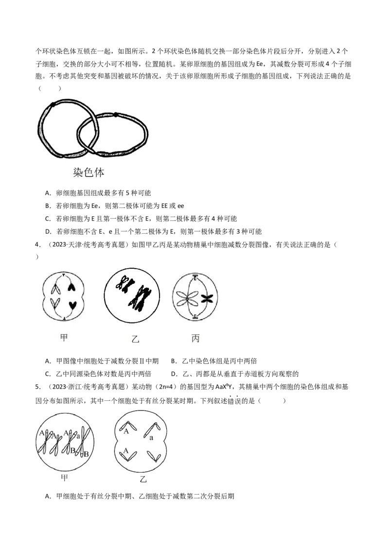 专题08有丝分裂和减数分裂（原卷卷）_近10年高考真题汇编（必刷）_十年（2014-2024）高考生物真题分项汇编（全国通用）_十年（2014-2023）高考生物真题分项汇编（全国通用）