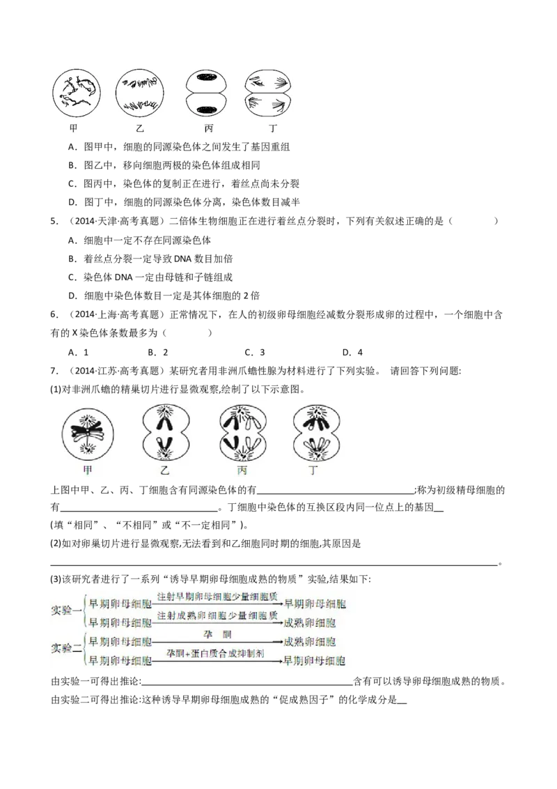 专题08有丝分裂和减数分裂（原卷卷）_近10年高考真题汇编（必刷）_十年（2014-2024）高考生物真题分项汇编（全国通用）_十年（2014-2023）高考生物真题分项汇编（全国通用）