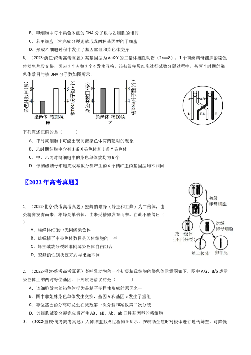 专题08有丝分裂和减数分裂（原卷卷）_近10年高考真题汇编（必刷）_十年（2014-2024）高考生物真题分项汇编（全国通用）_十年（2014-2023）高考生物真题分项汇编（全国通用）