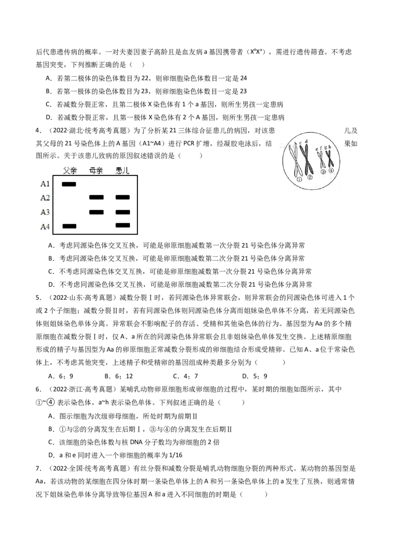 专题08有丝分裂和减数分裂（原卷卷）_近10年高考真题汇编（必刷）_十年（2014-2024）高考生物真题分项汇编（全国通用）_十年（2014-2023）高考生物真题分项汇编（全国通用）