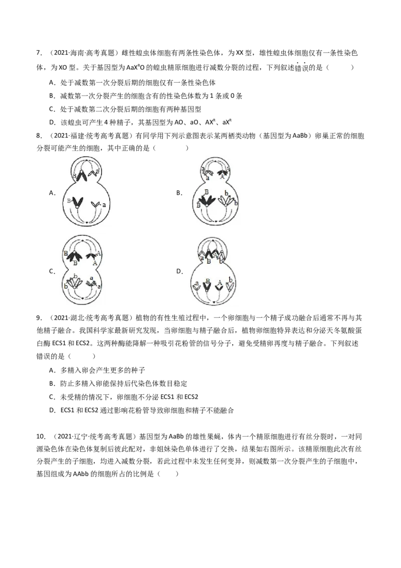 专题08有丝分裂和减数分裂（原卷卷）_近10年高考真题汇编（必刷）_十年（2014-2024）高考生物真题分项汇编（全国通用）_十年（2014-2023）高考生物真题分项汇编（全国通用）