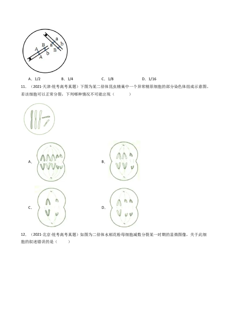 专题08有丝分裂和减数分裂（原卷卷）_近10年高考真题汇编（必刷）_十年（2014-2024）高考生物真题分项汇编（全国通用）_十年（2014-2023）高考生物真题分项汇编（全国通用）