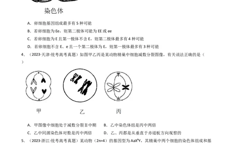 专题08有丝分裂和减数分裂（原卷卷）_近10年高考真题汇编（必刷）_十年（2014-2024）高考生物真题分项汇编（全国通用）_十年（2014-2023）高考生物真题分项汇编（全国通用）
