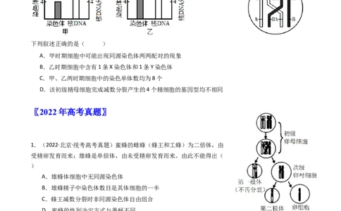 专题08有丝分裂和减数分裂（原卷卷）_近10年高考真题汇编（必刷）_十年（2014-2024）高考生物真题分项汇编（全国通用）_十年（2014-2023）高考生物真题分项汇编（全国通用）