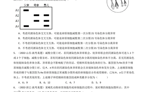 专题08有丝分裂和减数分裂（原卷卷）_近10年高考真题汇编（必刷）_十年（2014-2024）高考生物真题分项汇编（全国通用）_十年（2014-2023）高考生物真题分项汇编（全国通用）