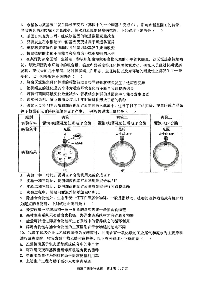华师一附中五月适应性检测生物_2025年5月_250531湖北省武汉市华中师范大学第一附属中学2025届高三下学期五月适应性检测（全科）