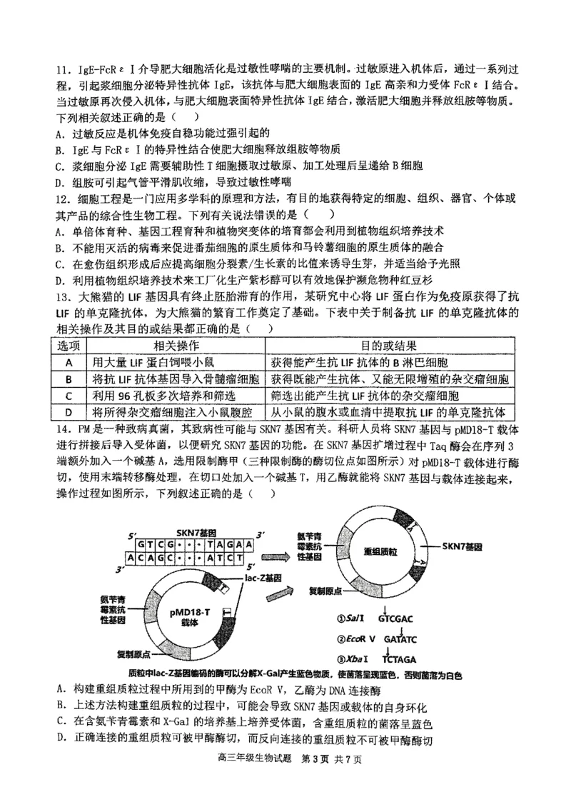 华师一附中五月适应性检测生物_2025年5月_250531湖北省武汉市华中师范大学第一附属中学2025届高三下学期五月适应性检测（全科）