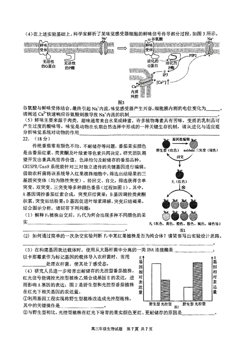 华师一附中五月适应性检测生物_2025年5月_250531湖北省武汉市华中师范大学第一附属中学2025届高三下学期五月适应性检测（全科）
