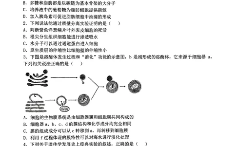 华师一附中五月适应性检测生物_2025年5月_250531湖北省武汉市华中师范大学第一附属中学2025届高三下学期五月适应性检测（全科）