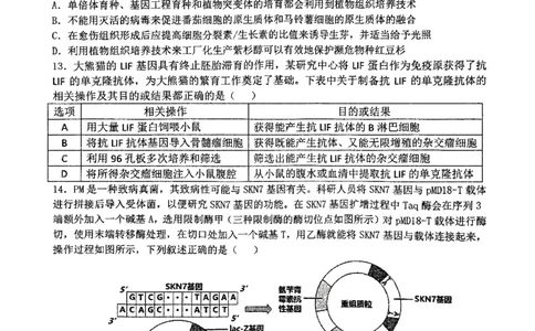 华师一附中五月适应性检测生物_2025年5月_250531湖北省武汉市华中师范大学第一附属中学2025届高三下学期五月适应性检测（全科）