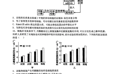 华师一附中五月适应性检测生物_2025年5月_250531湖北省武汉市华中师范大学第一附属中学2025届高三下学期五月适应性检测（全科）