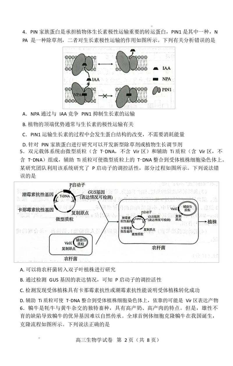湖北省恩施2026届高三上学期9月起点考试+生物_2025年9月_250919湖北省恩施州2026届高三第一次质量监测暨9月起点考试（全科）