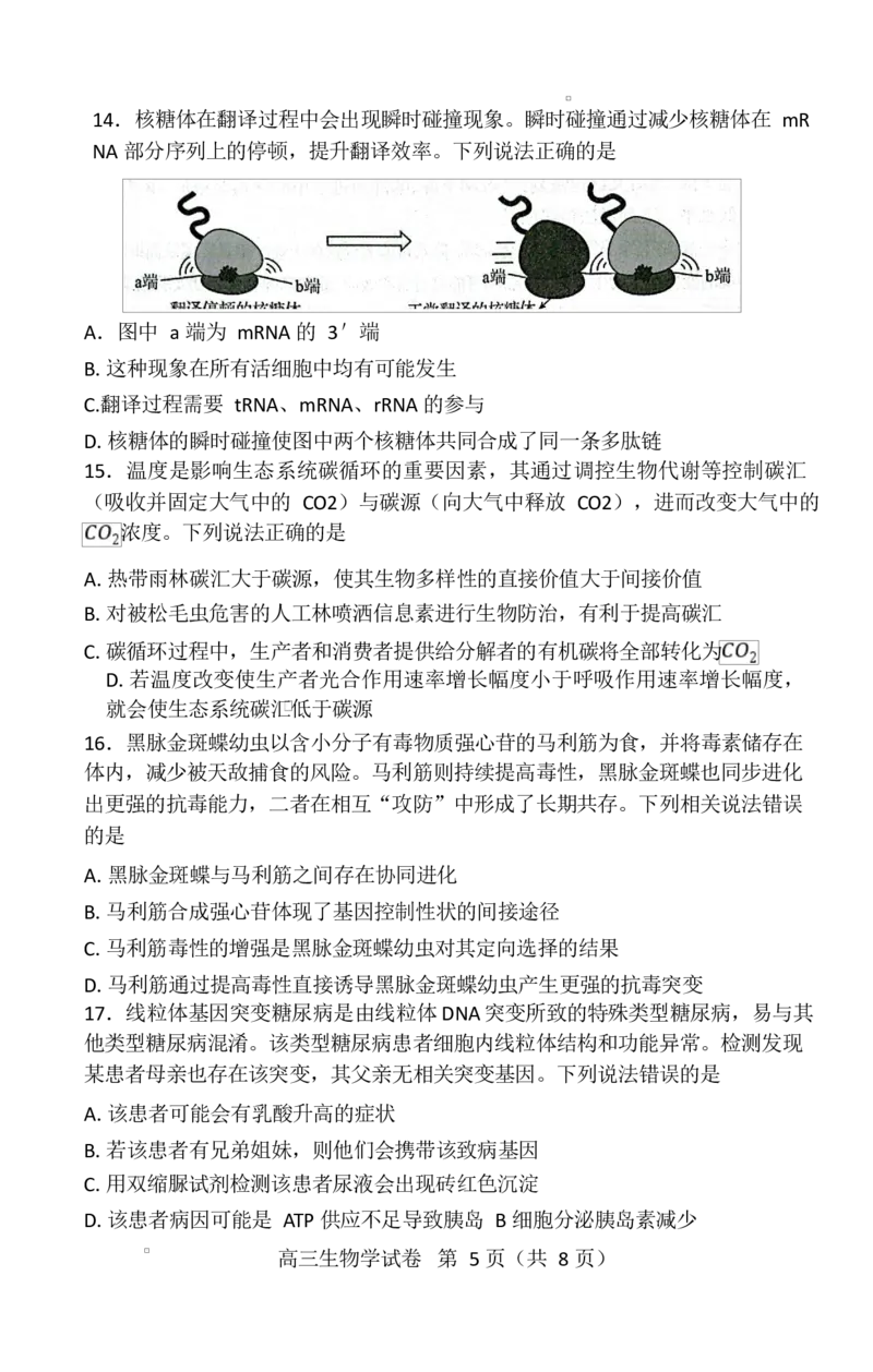 湖北省恩施2026届高三上学期9月起点考试+生物_2025年9月_250919湖北省恩施州2026届高三第一次质量监测暨9月起点考试（全科）