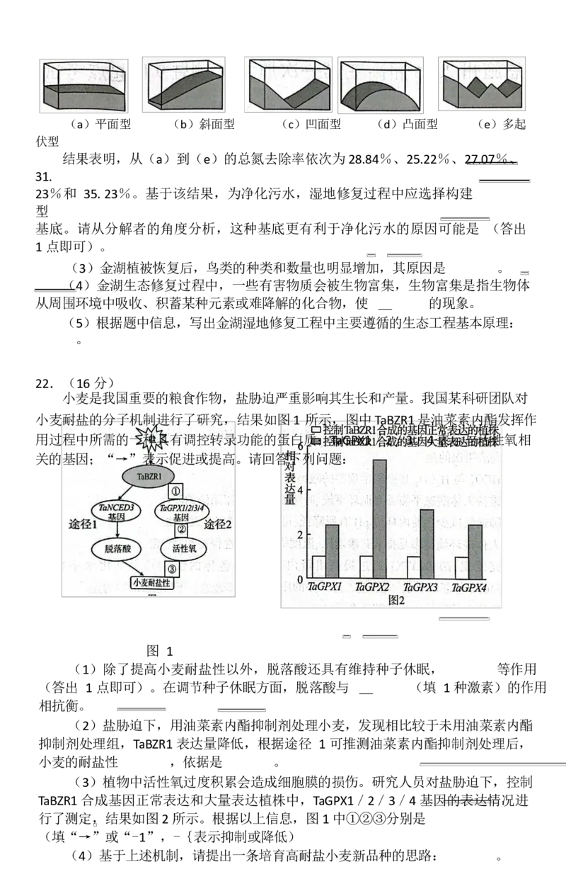 湖北省恩施2026届高三上学期9月起点考试+生物_2025年9月_250919湖北省恩施州2026届高三第一次质量监测暨9月起点考试（全科）