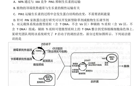 湖北省恩施2026届高三上学期9月起点考试+生物_2025年9月_250919湖北省恩施州2026届高三第一次质量监测暨9月起点考试（全科）