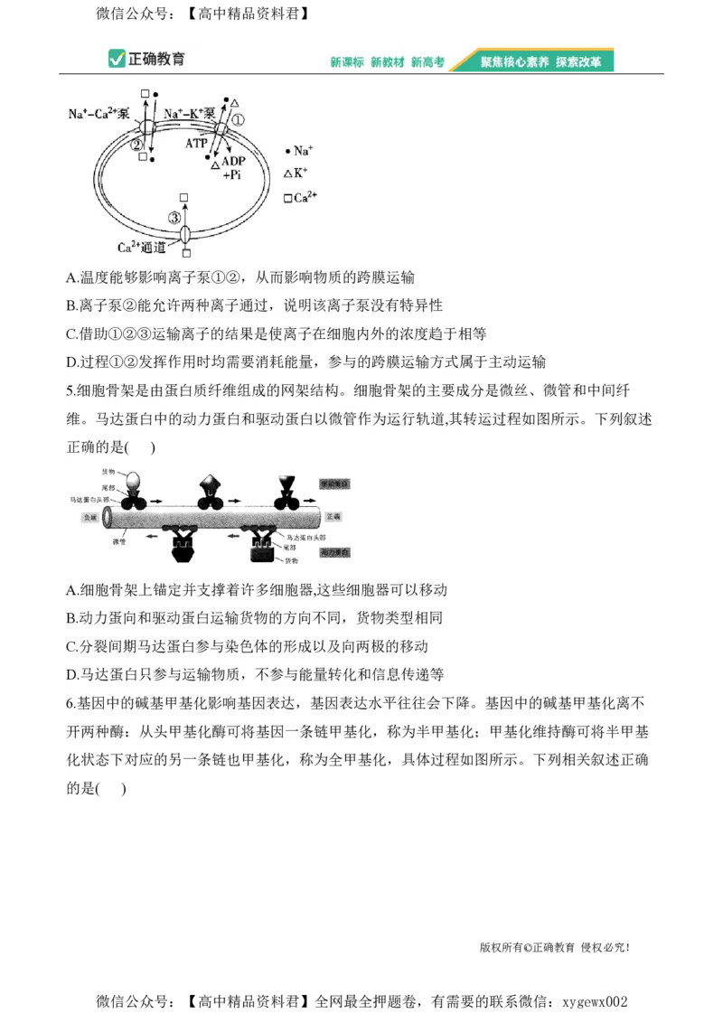 2024届明日之星高考生物精英模拟卷甘肃版_2024高考押题卷_72024正确教育全系列_2024明日之星全系列_（新高考）2024《明日之星&middot;高考精英模拟卷》（九科全）各一套