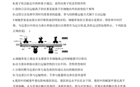 2024届明日之星高考生物精英模拟卷甘肃版_2024高考押题卷_72024正确教育全系列_2024明日之星全系列_（新高考）2024《明日之星&middot;高考精英模拟卷》（九科全）各一套
