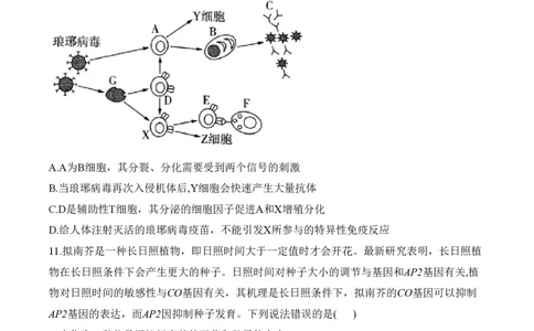 2024届明日之星高考生物精英模拟卷甘肃版_2024高考押题卷_72024正确教育全系列_2024明日之星全系列_（新高考）2024《明日之星&middot;高考精英模拟卷》（九科全）各一套