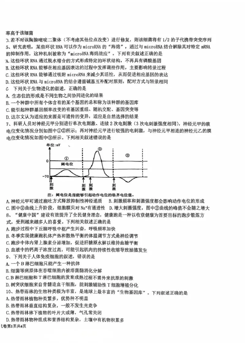 江苏省盐城中学2024-2025学年高三下学期3月月考生物+答案_2025年3月_250316江苏省盐城中学2024-2025学年高三下学期3月月考试题