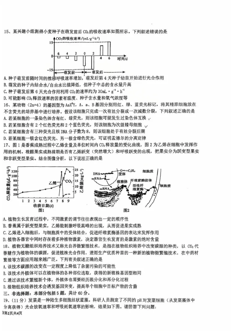 江苏省盐城中学2024-2025学年高三下学期3月月考生物+答案_2025年3月_250316江苏省盐城中学2024-2025学年高三下学期3月月考试题