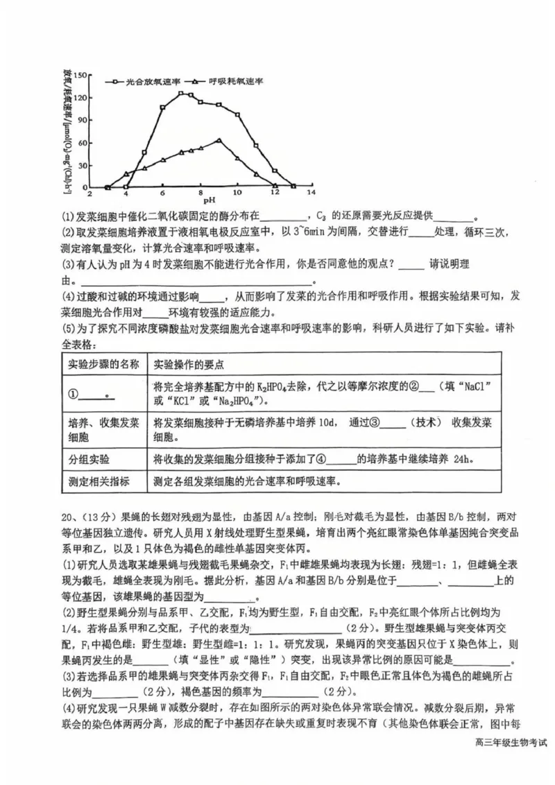 江苏省盐城中学2024-2025学年高三下学期3月月考生物+答案_2025年3月_250316江苏省盐城中学2024-2025学年高三下学期3月月考试题