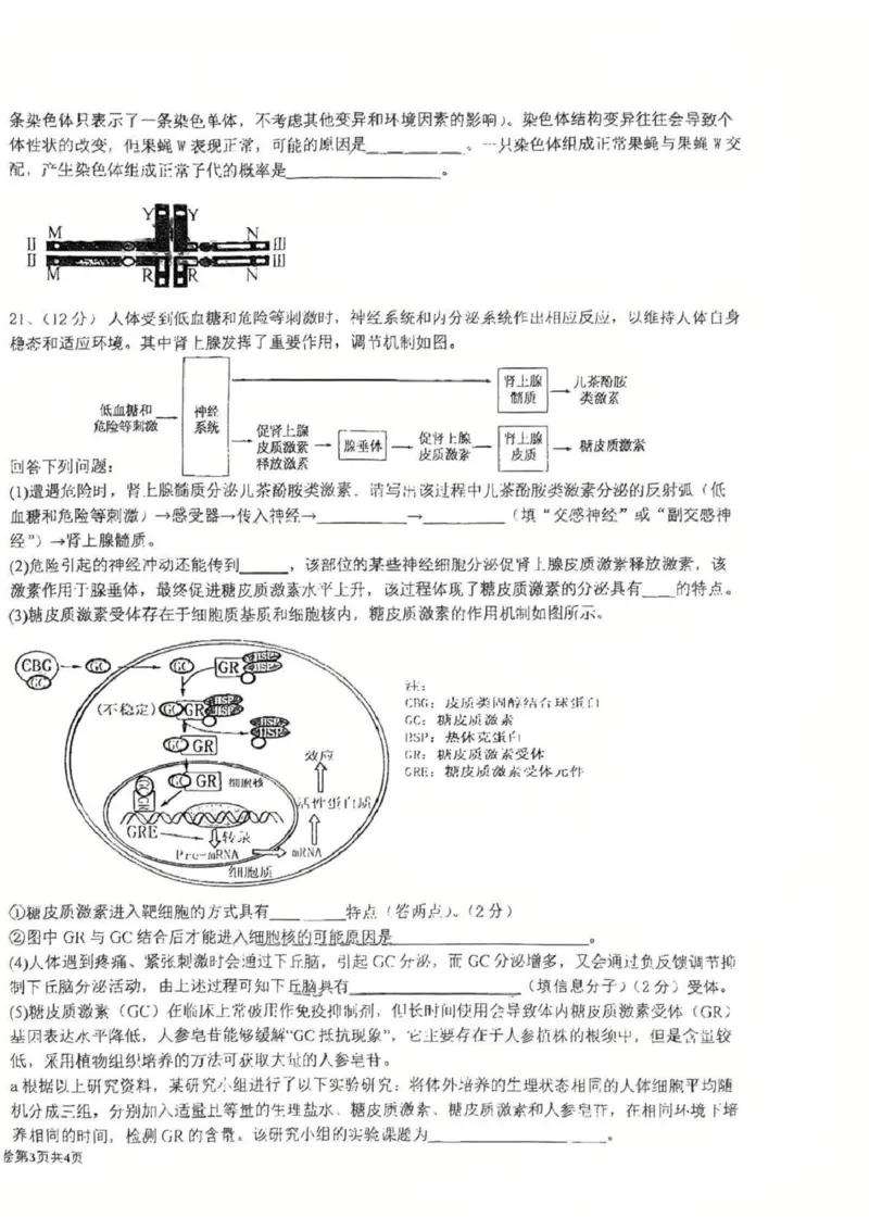 江苏省盐城中学2024-2025学年高三下学期3月月考生物+答案_2025年3月_250316江苏省盐城中学2024-2025学年高三下学期3月月考试题