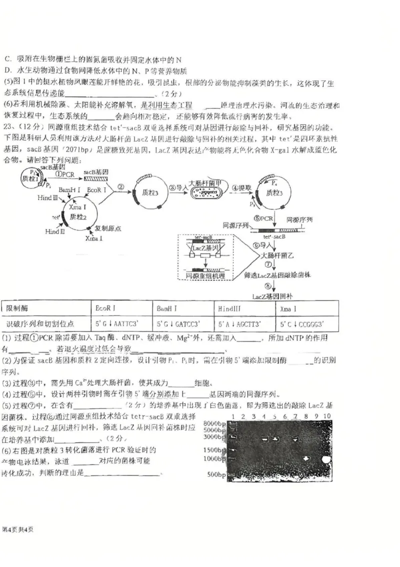 江苏省盐城中学2024-2025学年高三下学期3月月考生物+答案_2025年3月_250316江苏省盐城中学2024-2025学年高三下学期3月月考试题
