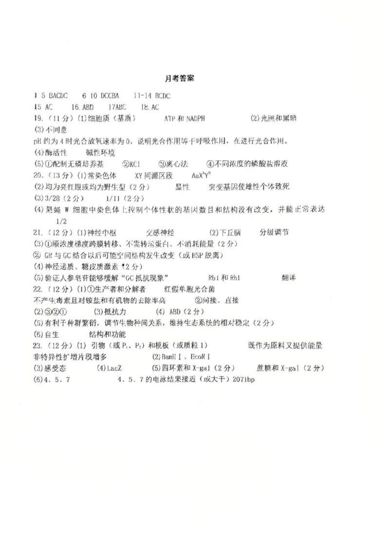 江苏省盐城中学2024-2025学年高三下学期3月月考生物+答案_2025年3月_250316江苏省盐城中学2024-2025学年高三下学期3月月考试题