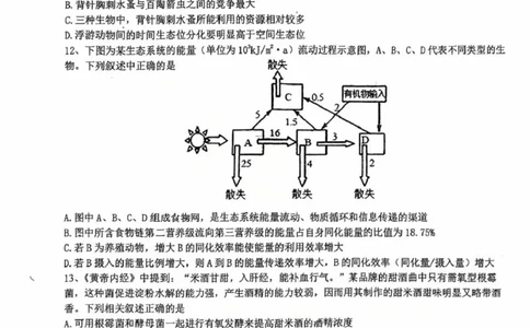 江苏省盐城中学2024-2025学年高三下学期3月月考生物+答案_2025年3月_250316江苏省盐城中学2024-2025学年高三下学期3月月考试题