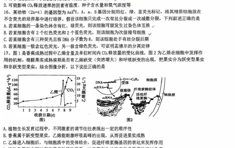 江苏省盐城中学2024-2025学年高三下学期3月月考生物+答案_2025年3月_250316江苏省盐城中学2024-2025学年高三下学期3月月考试题