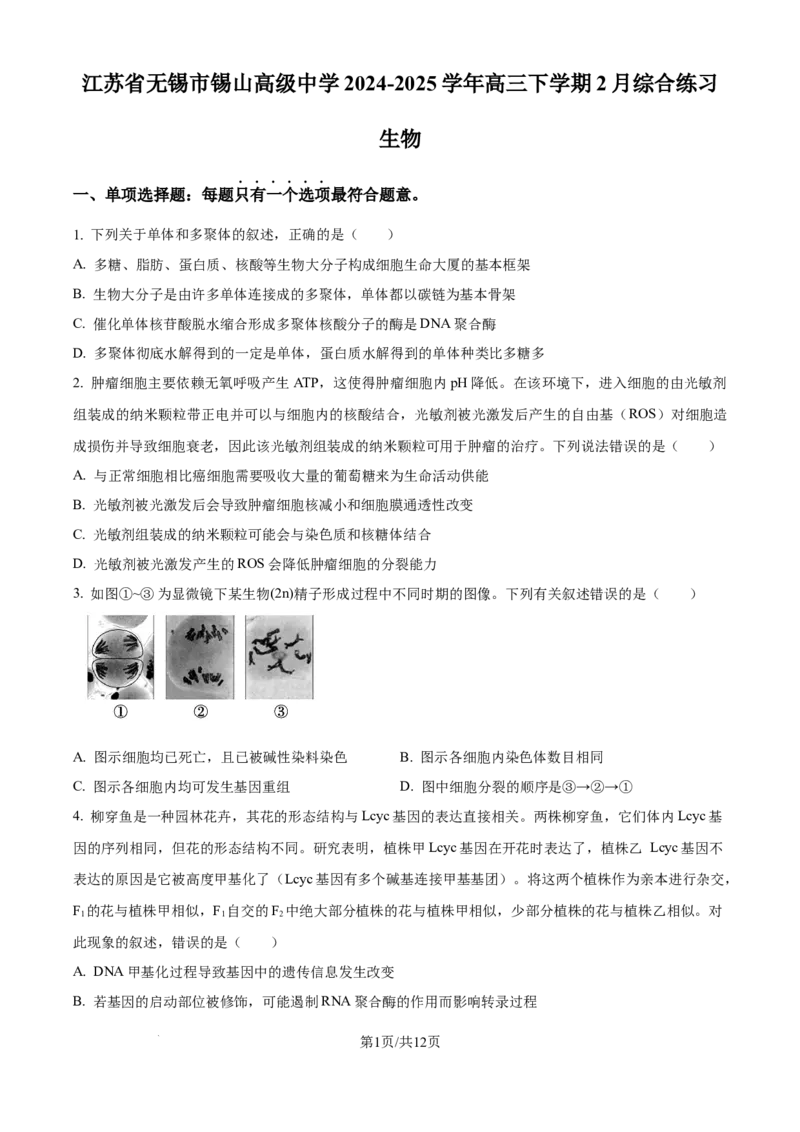 江苏省锡山高级中学2024-2025学年高三下学期2月综合练习生物_2025年3月_250301江苏省锡山高级中学2024-2025学年高三下学期2月综合练习（全科）