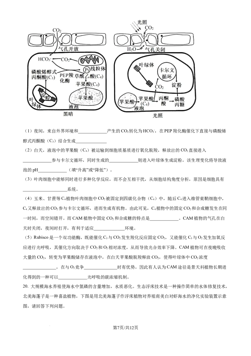江苏省锡山高级中学2024-2025学年高三下学期2月综合练习生物_2025年3月_250301江苏省锡山高级中学2024-2025学年高三下学期2月综合练习（全科）