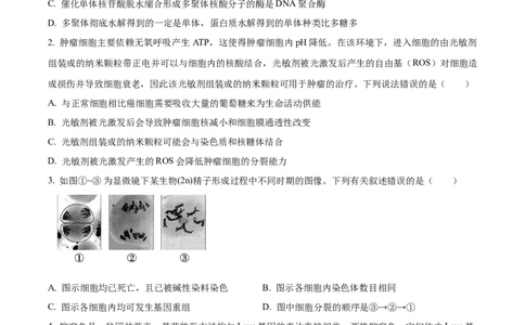 江苏省锡山高级中学2024-2025学年高三下学期2月综合练习生物_2025年3月_250301江苏省锡山高级中学2024-2025学年高三下学期2月综合练习（全科）