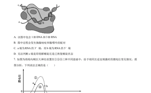 江苏省锡山高级中学2024-2025学年高三下学期2月综合练习生物_2025年3月_250301江苏省锡山高级中学2024-2025学年高三下学期2月综合练习（全科）