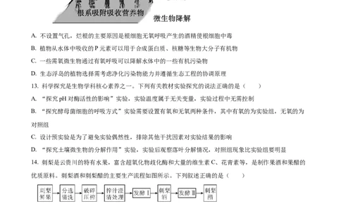 江苏省锡山高级中学2024-2025学年高三下学期2月综合练习生物_2025年3月_250301江苏省锡山高级中学2024-2025学年高三下学期2月综合练习（全科）