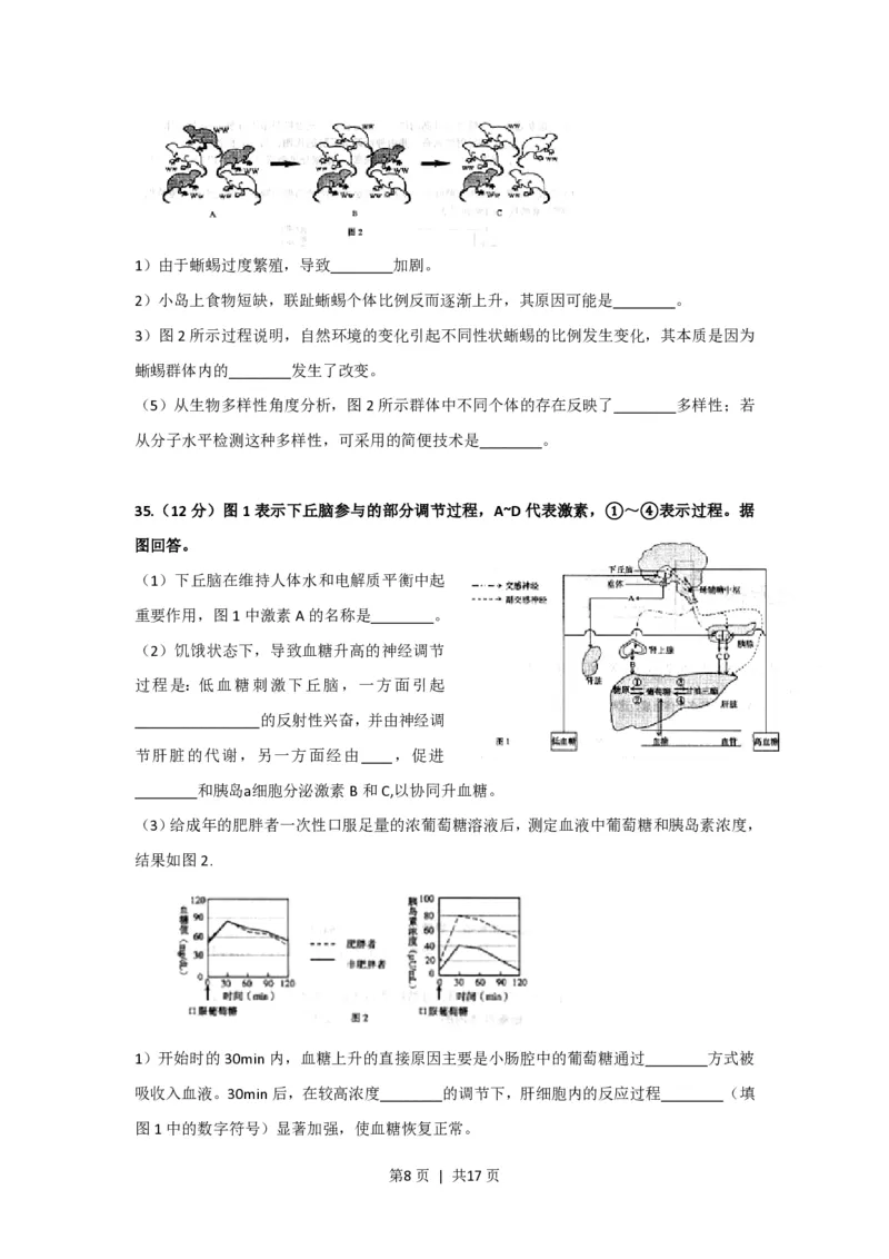 2009年高考生物试卷（上海）（解析卷）_生物历年高考真题_新&middot;PDF版2008-2025&middot;高考生物真题_生物（按年份分类）2008-2025_2009&middot;高考生物真题