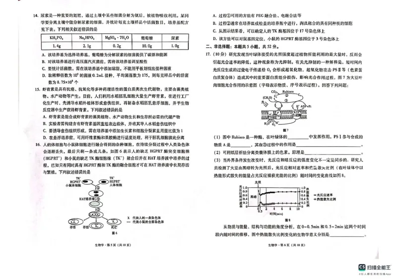 西南（云南四川贵州）名校联盟2024-2025学年高三&ldquo;333&rdquo;高考备考诊断联考（二）生物试题_2025年3月_250325西南名校联盟2025届&ldquo;3+3+3&rdquo;高考备考诊断性联考(二)（全科）