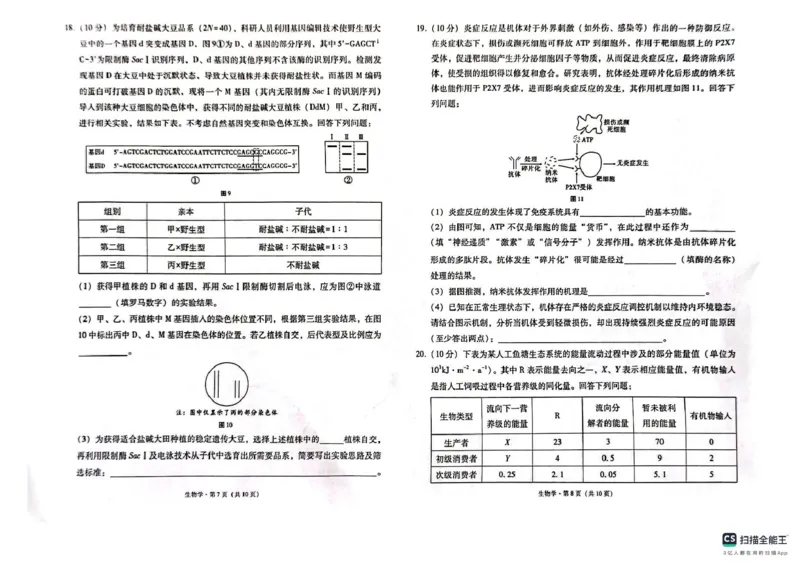 西南（云南四川贵州）名校联盟2024-2025学年高三&ldquo;333&rdquo;高考备考诊断联考（二）生物试题_2025年3月_250325西南名校联盟2025届&ldquo;3+3+3&rdquo;高考备考诊断性联考(二)（全科）