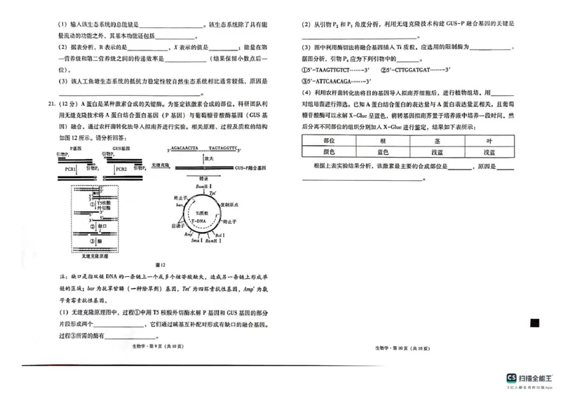 西南（云南四川贵州）名校联盟2024-2025学年高三&ldquo;333&rdquo;高考备考诊断联考（二）生物试题_2025年3月_250325西南名校联盟2025届&ldquo;3+3+3&rdquo;高考备考诊断性联考(二)（全科）