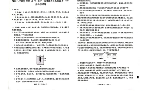 西南（云南四川贵州）名校联盟2024-2025学年高三&ldquo;333&rdquo;高考备考诊断联考（二）生物试题_2025年3月_250325西南名校联盟2025届&ldquo;3+3+3&rdquo;高考备考诊断性联考(二)（全科）