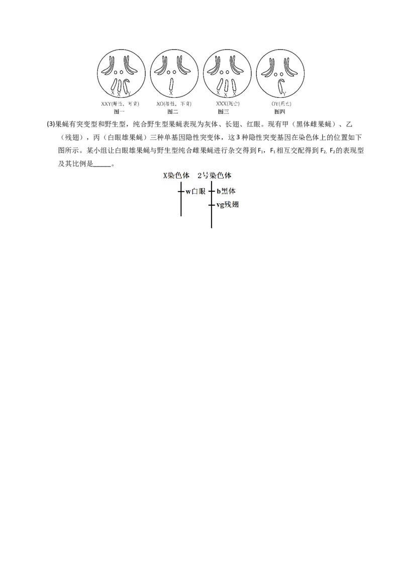 专题04有丝分裂和减数分裂（学生卷）_近10年高考真题汇编（必刷）_十年（2014-2024）高考生物真题分项汇编（全国通用）_2023年高考真题和模拟题生物分项汇编（全国通用）