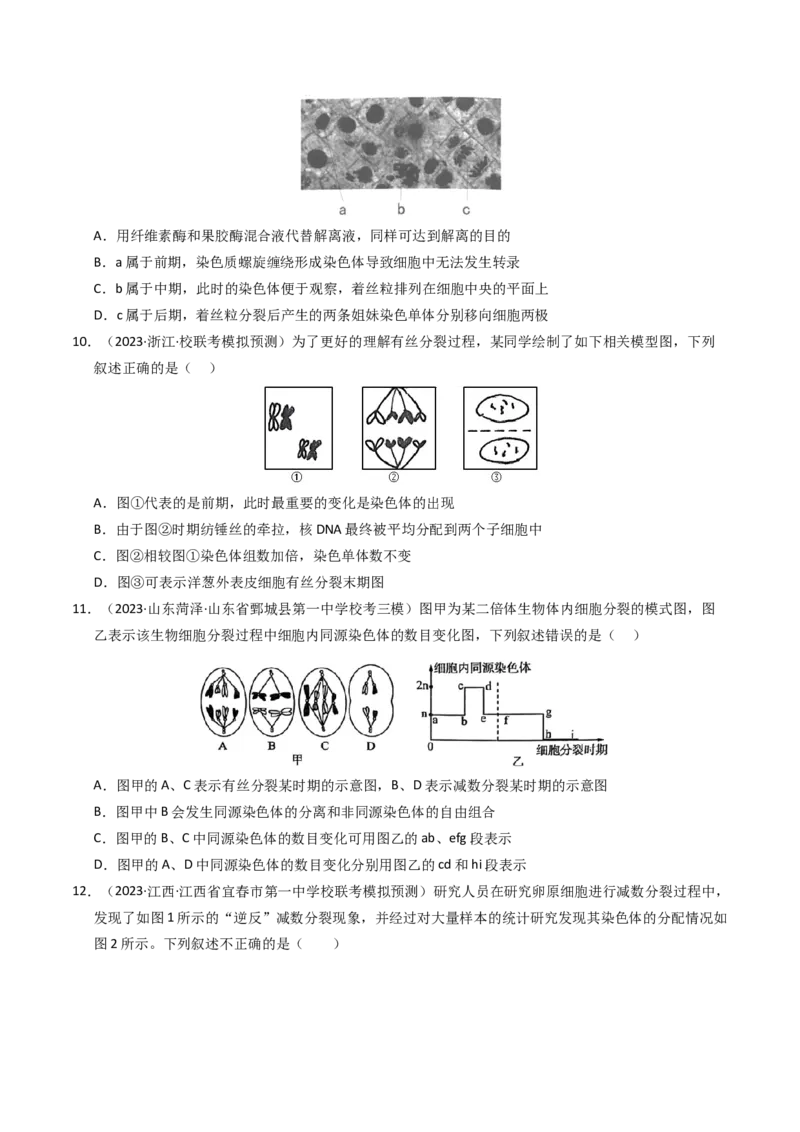 专题04有丝分裂和减数分裂（学生卷）_近10年高考真题汇编（必刷）_十年（2014-2024）高考生物真题分项汇编（全国通用）_2023年高考真题和模拟题生物分项汇编（全国通用）