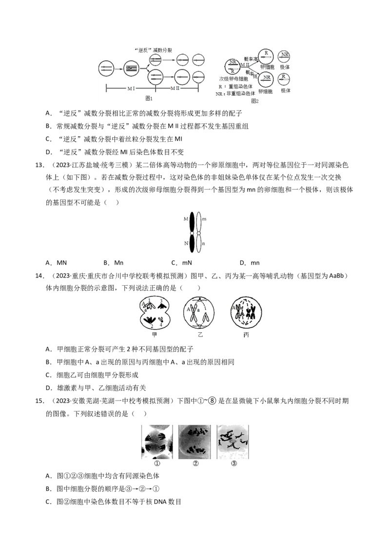 专题04有丝分裂和减数分裂（学生卷）_近10年高考真题汇编（必刷）_十年（2014-2024）高考生物真题分项汇编（全国通用）_2023年高考真题和模拟题生物分项汇编（全国通用）