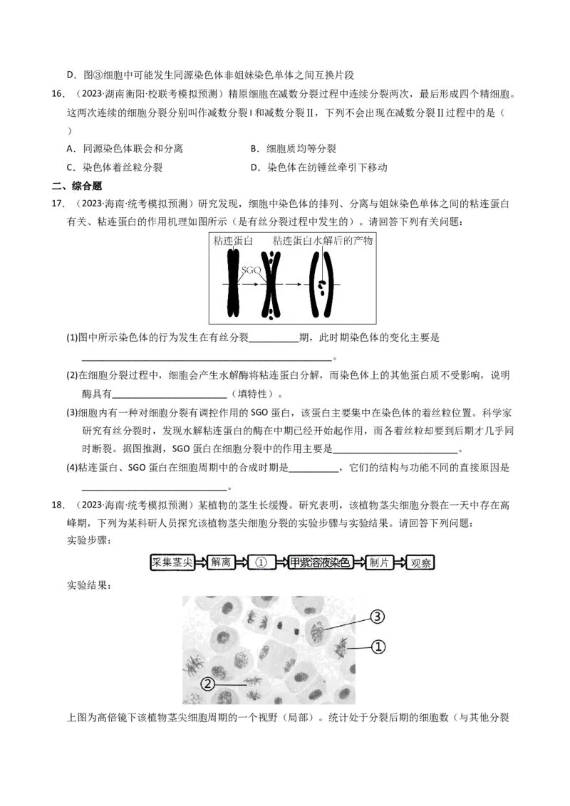 专题04有丝分裂和减数分裂（学生卷）_近10年高考真题汇编（必刷）_十年（2014-2024）高考生物真题分项汇编（全国通用）_2023年高考真题和模拟题生物分项汇编（全国通用）