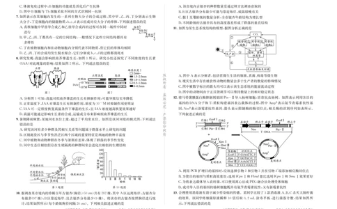 成都石室中学2024-2025学年度下期高2025届二诊模拟考试生物_2025年3月_250305四川省成都石室中学2024-2025学年度下期高2025届二诊模拟考试（全科）