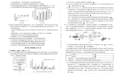 成都石室中学2024-2025学年度下期高2025届二诊模拟考试生物_2025年3月_250305四川省成都石室中学2024-2025学年度下期高2025届二诊模拟考试（全科）