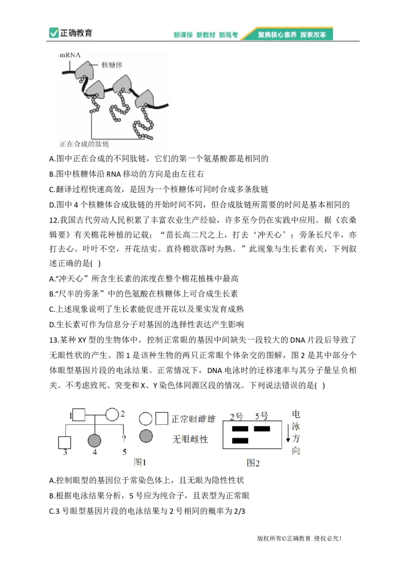 2023届新高考生物金榜猜题卷重庆专版_2023高考押题卷_正确教育金榜猜题卷_（新高考）正确教育丨金榜猜题卷_新高考生物