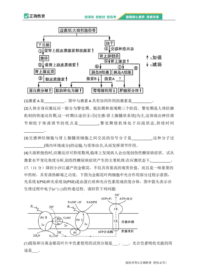 2023届新高考生物金榜猜题卷重庆专版_2023高考押题卷_正确教育金榜猜题卷_（新高考）正确教育丨金榜猜题卷_新高考生物