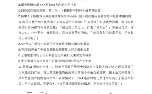 2023届新高考生物金榜猜题卷重庆专版_2023高考押题卷_正确教育金榜猜题卷_（新高考）正确教育丨金榜猜题卷_新高考生物