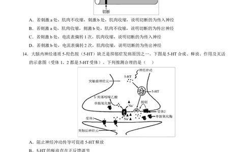 高二生物上学期第一次月考测试范围：人教版2019选择性必修1第1章~第2章（安徽专用）（考试版）_1多考区联考试卷_2510142025-2026学年高二生物上学期第一次月考试题